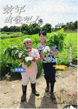 接力挑战班 韩国综艺在线观看